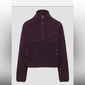 Aritzia dark purple plum TNA polartec fleece quarter zip